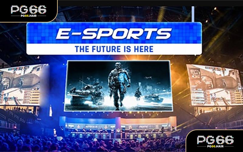 Esport PG66 - Trải Nghiệm Trong Đấu Trường Thể Thao Điện Tử